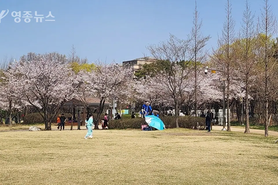 영종 세계평화의숲, 24일 가을음악축제…‘춤추는 가을, 숲의 노래’
